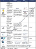 Dienstleistung Hygienemanagement "Kaiser Cares Rundum 24+" Intensive-Pflege WG (Monatspauschale) außerhalb NRW