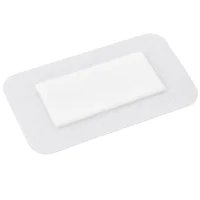 Steriler Vliesstoff-Wundverband 8x15cm mit Saugkissen 30 Stück